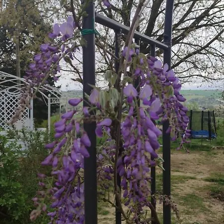 Bed & Breakfast Ca' Moni - *