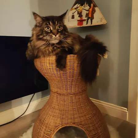 Oda ve Kahvaltı Ca' Moni - Imola