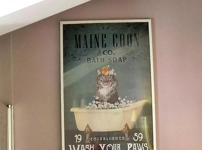 Oda ve Kahvaltı Ca' Moni -