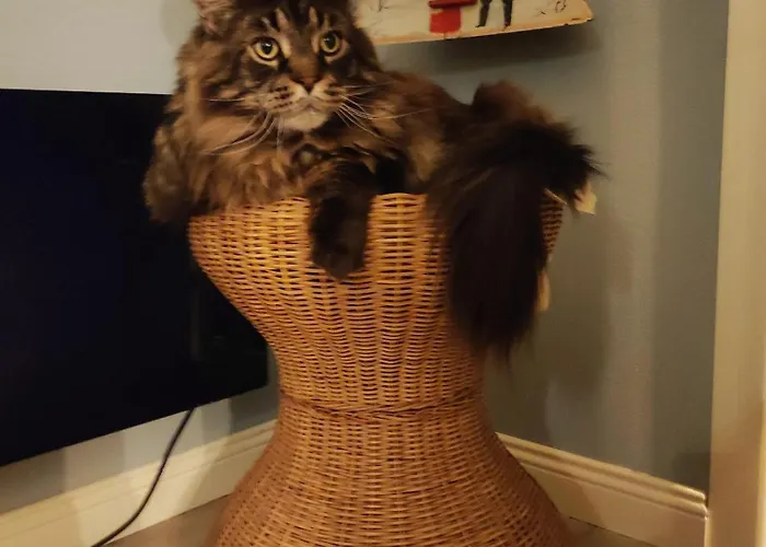 Oda ve Kahvaltı Ca' Moni - Imola